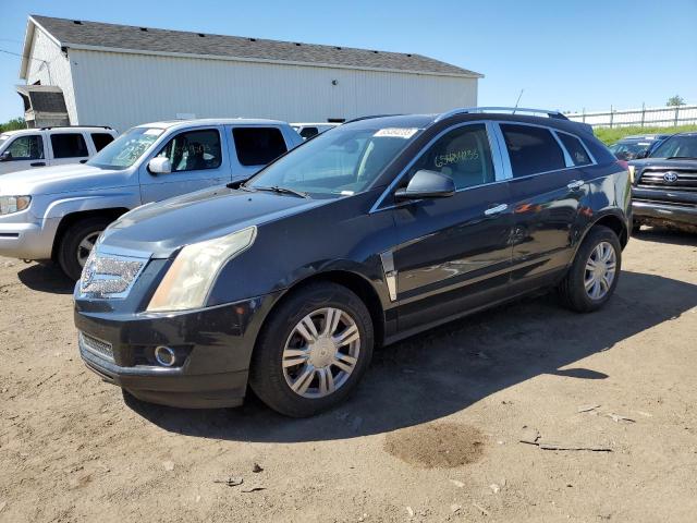 CADILLAC SRX LUXURY 2012 with VIN 3GYFNDE33CS501042 - Photo from auction