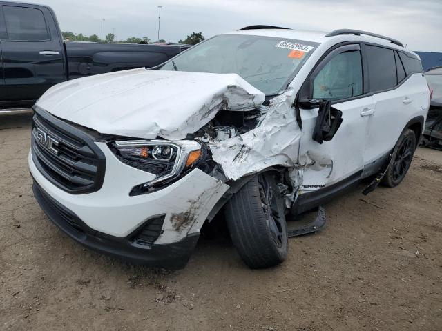 GMC TERRAIN SL 2020 with VIN 3GKALTEV2LL341669 - Photo from auction