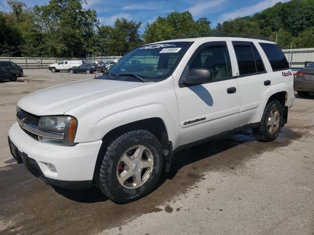 CHEVROLET TRAILBLAZE 2003 with VIN 1GNDT13SX32344107 - Photo from auction