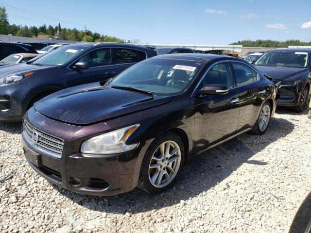 NISSAN MAXIMA S 2010 with VIN 1N4AA5AP1AC842720 - Photo from auction