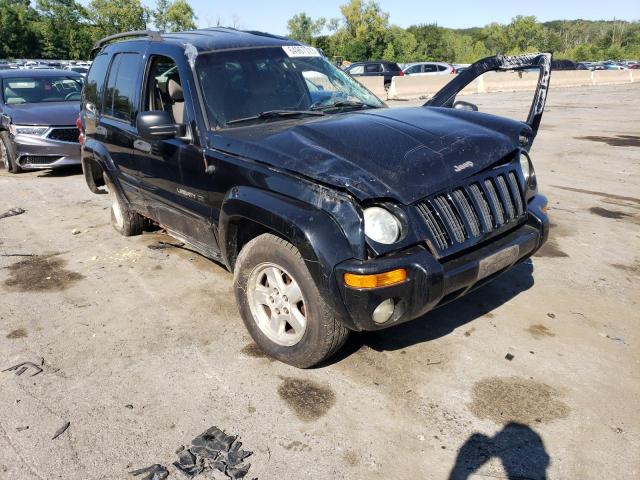 Photo 4 from auction – 2002 JEEP LIBERTY LI with VIN 1J4GL58KX2W245875