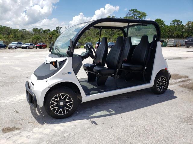 2019 Polaris GEM