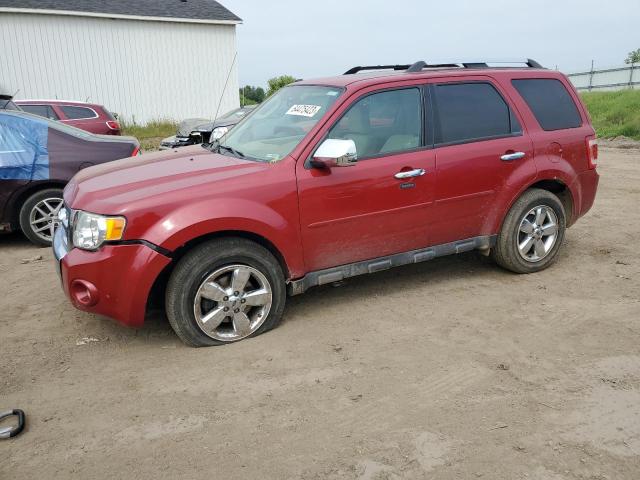 FORD ESCAPE LIM 2011 with VIN 1FMCU9EG6BKC03845 - Photo from auction