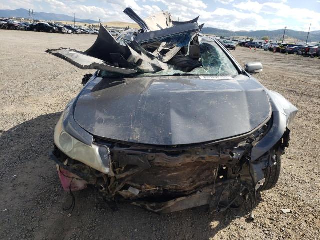Photo 5 from auction – 2009 ACURA TL with VIN 19UUA96589A002464
