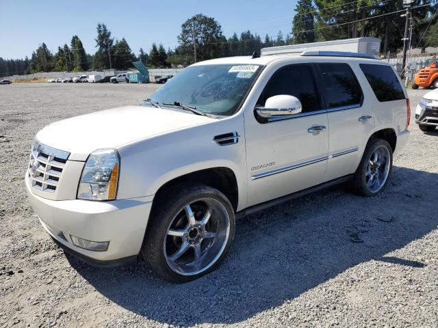 CADILLAC ESCALADE P 2011 with VIN 1GYS4CEF2BR362562 - Photo from auction