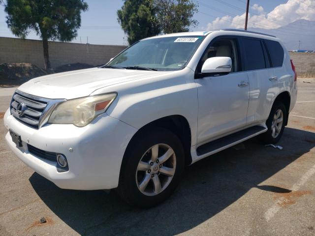 LEXUS GX 460 2010 with VIN JTJBM7FX3A5001980 - Photo from auction