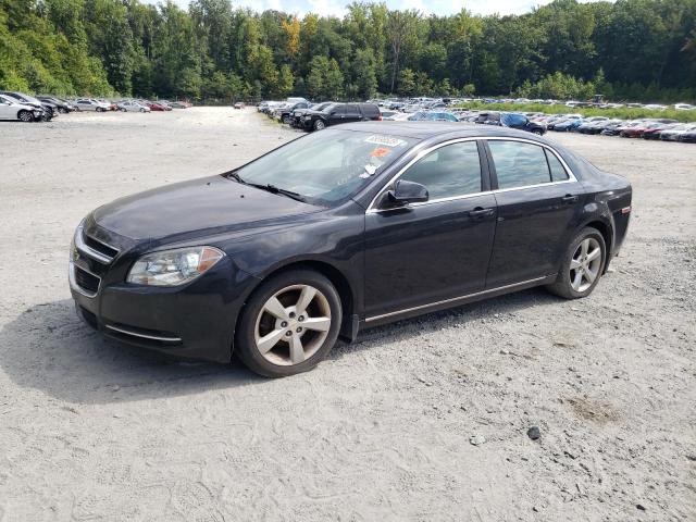 CHEVROLET MALIBU 2LT 2011 with VIN 1G1ZD5E19BF277104 - Photo from auction