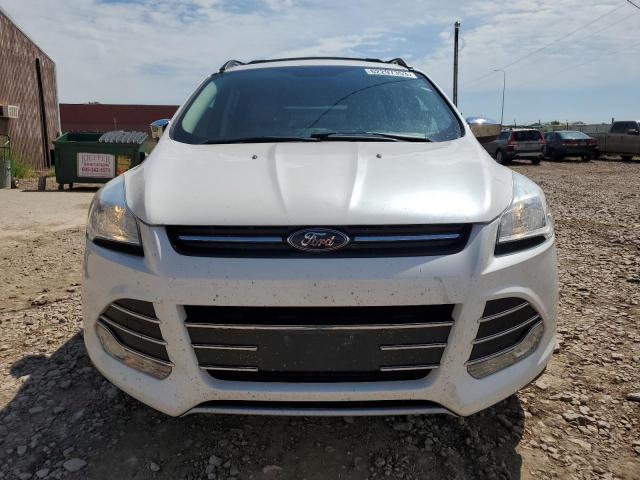 Photo 5 from auction – 2014 FORD ESCAPE SE with VIN 1FMCU9G98EUC08021
