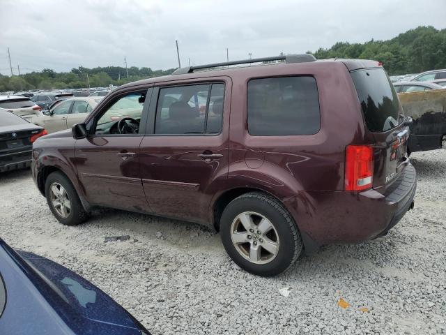 Photo 2 from auction – 2010 HONDA PILOT EXL with VIN 5FNYF4H51AB028532