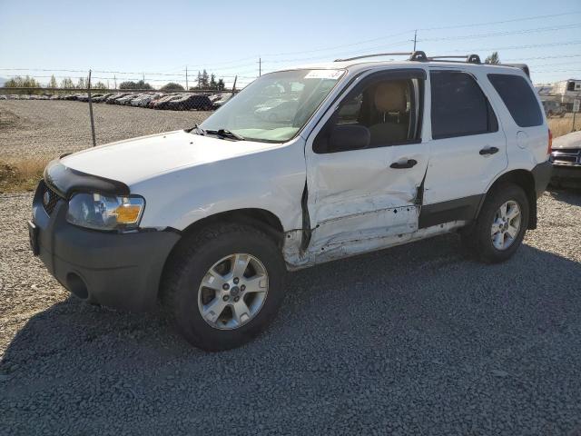 FORD ESCAPE XLT 2005 with VIN 1FMYU93175KC92382 - Photo from auction