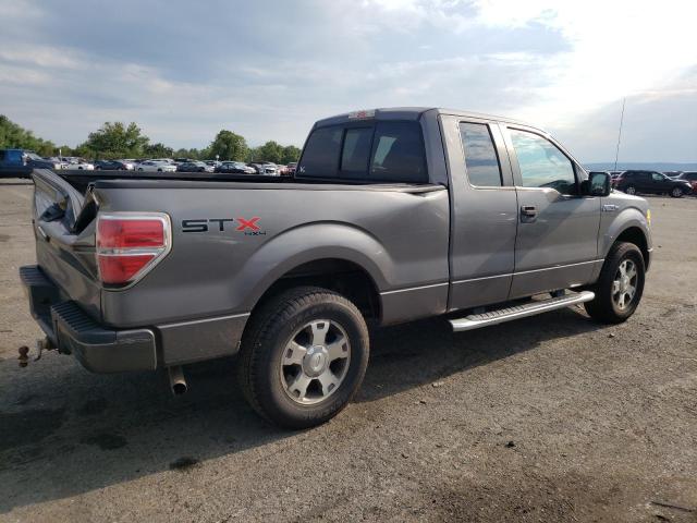 Photo 3 from auction – 2010 FORD F150 SUPER with VIN 1FTEX1EW4AFD70709