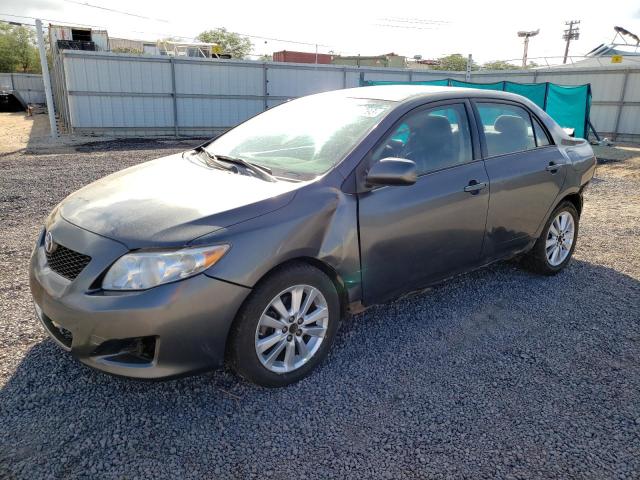 TOYOTA COROLLA BA 2010 with VIN 2T1BU4EE0AC508906 - Photo from auction