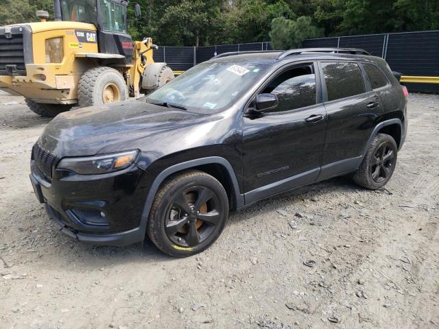 JEEP CHEROKEE L 2019 with VIN 1C4PJLLB3KD475096 - Photo from auction