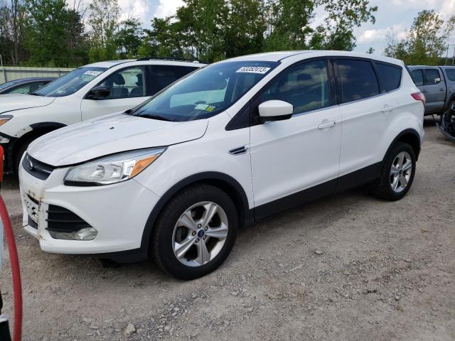 FORD ESCAPE SE 2014 with VIN 1FMCU0GX4EUA98806 - Photo from auction