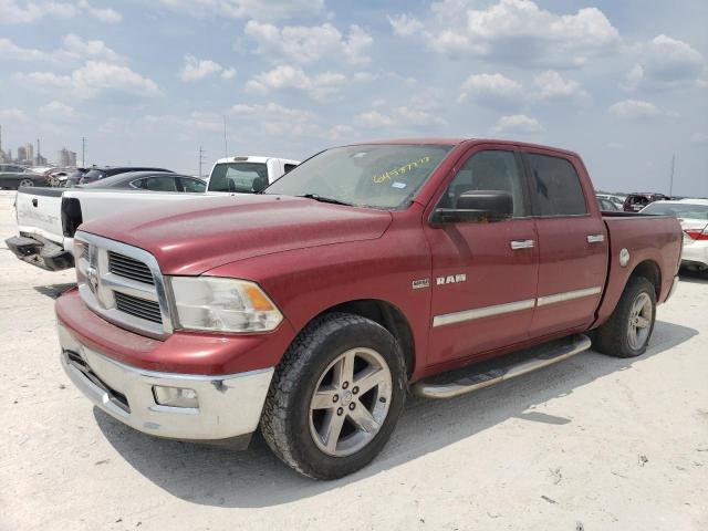 DODGE RAM 1500 2009 with VIN 1D3HB13T89S769699 - Photo from auction