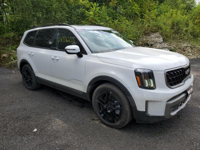 Photo 4 from auction – 2023 KIA TELLURIDE with VIN 5XYP5DGC3PG410125