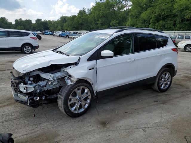 Photo 1 from auction – 2014 FORD ESCAPE SE with VIN 1FMCU9G94EUC66319