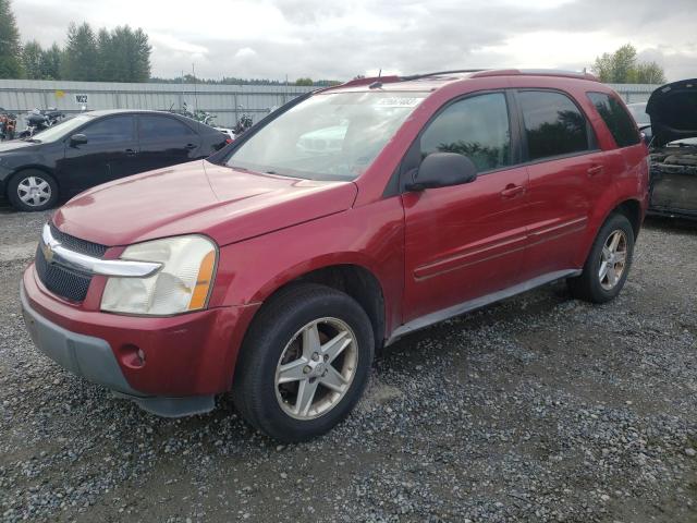 CHEVROLET EQUINOX LT 2005 with VIN 2CNDL73F556104270 - Photo from auction