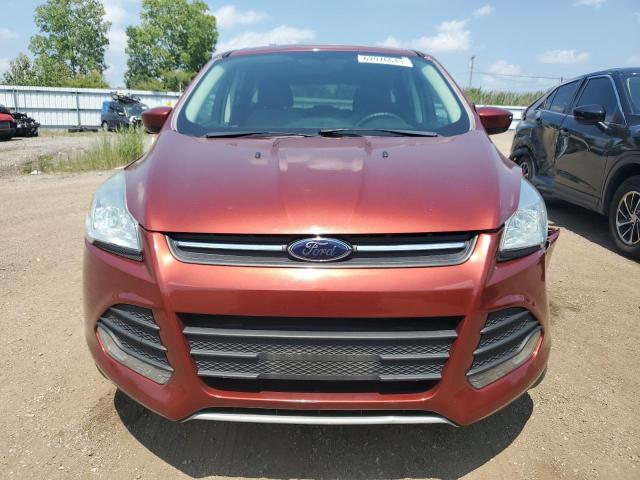 Photo 5 from auction – 2014 FORD ESCAPE SE with VIN 1FMCU0GX1EUD25823