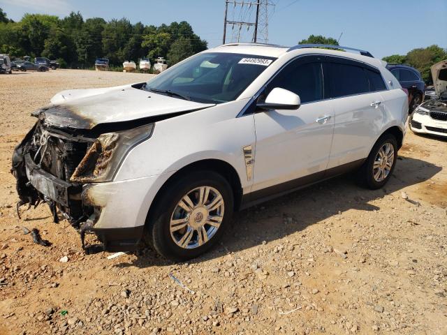 CADILLAC SRX LUXURY 2011 with VIN 3GYFNAEY9BS559701 - Photo from auction