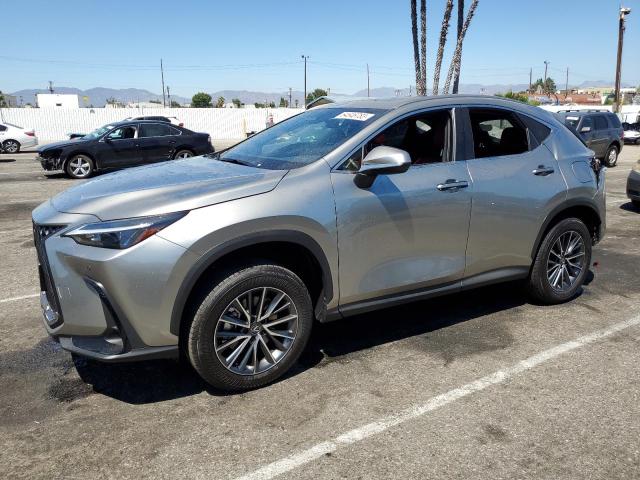LEXUS NX 250 PRE 2024 with VIN JTJGDCAZ4R5015471 - Photo from auction