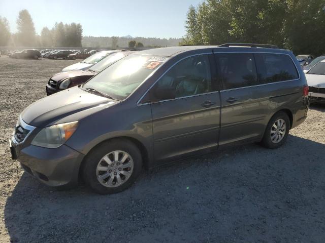 HONDA ODYSSEY EX 2008 with VIN 5FNRL38698B021287 - Photo from auction
