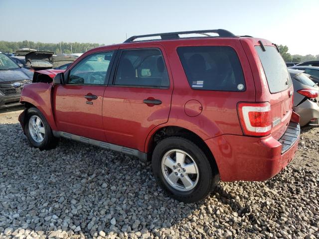 Photo 2 from auction – 2010 FORD ESCAPE XLT with VIN 1FMCU0DG3AKB53739
