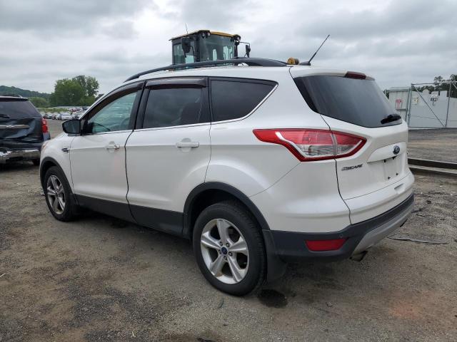 Photo 2 from auction – 2014 FORD ESCAPE SE with VIN 1FMCU9G93EUE02603