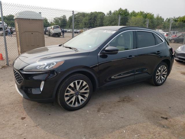 FORD ESCAPE TIT 2020 with VIN 1FMCU9J97LUA59185 - Photo from auction