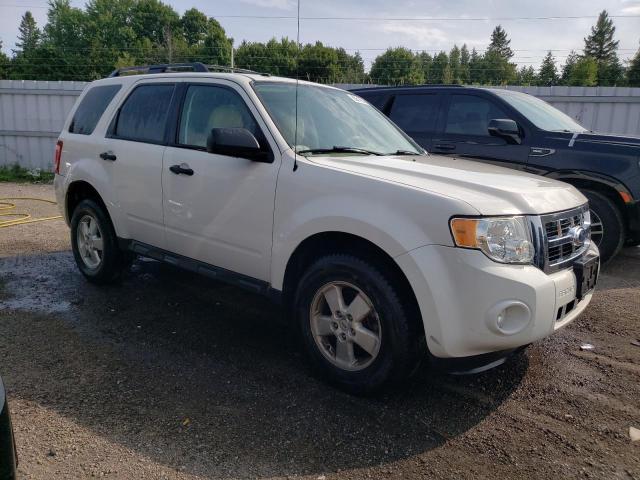 Photo 4 from auction – 2010 FORD ESCAPE XLT with VIN 1FMCU0D78AKC38754