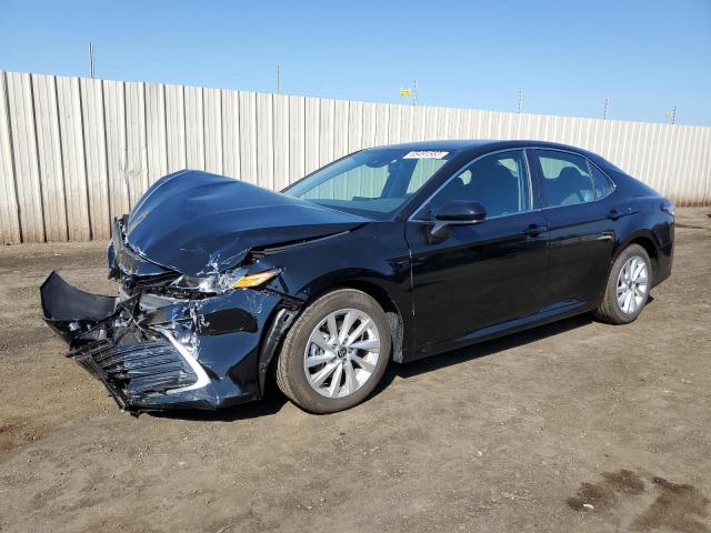TOYOTA CAMRY LE 2023 with VIN 4T1C11AK2PU142171 - Photo from auction