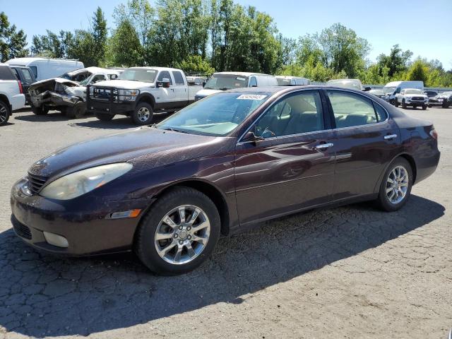 LEXUS ES 300 2002 with VIN JTHBF30G320082703 - Photo from auction