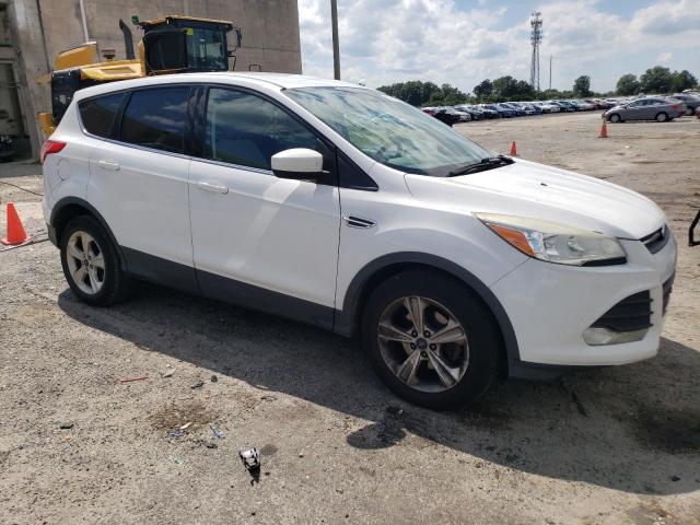 Photo 4 from auction – 2014 FORD ESCAPE SE with VIN 1FMCU0GX3EUC22340