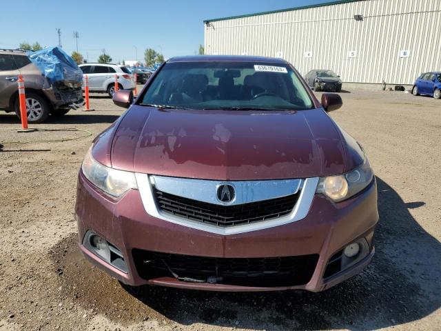 Photo 5 from auction – 2009 ACURA TSX with VIN JH4CU26669C800191