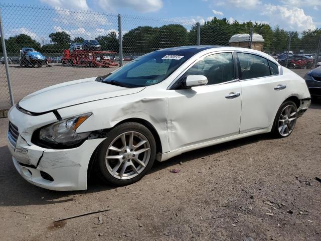 NISSAN MAXIMA S 2009 with VIN 1N4AA51E09C828818 - Photo from auction