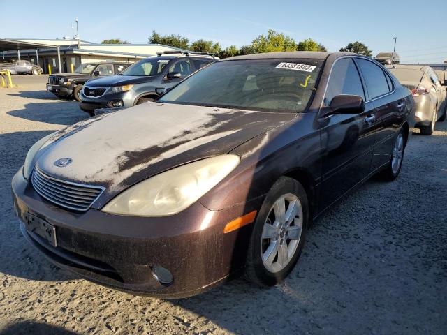 LEXUS ES 330 2005 with VIN JTHBA30GX55128842 - Photo from auction