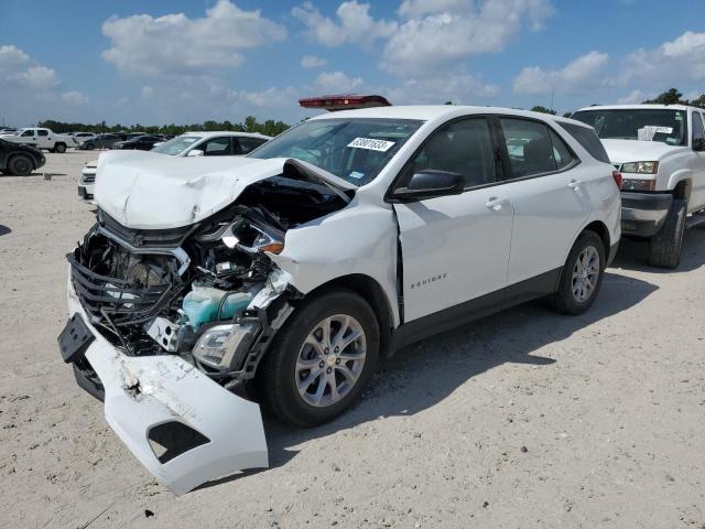CHEVROLET EQUINOX LS 2019 with VIN 3GNAXHEV9KS679708 - Photo from auction