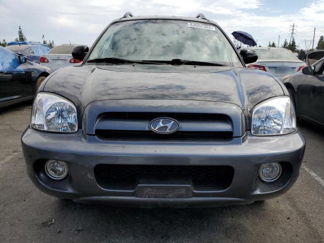 Photo 5 from auction – 2006 HYUNDAI SANTA FE with VIN KM8SC13E46U108941