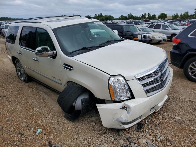 Photo 4 from auction – 2010 CADILLAC ESCALADE P with VIN 1GYUKDEFXAR195158