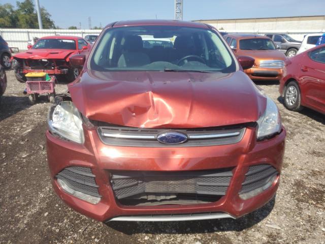 Photo 5 from auction – 2015 FORD ESCAPE SE with VIN 1FMCU0G74FUB59220