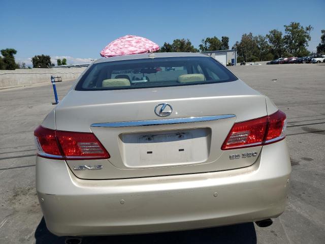 Photo 6 from auction – 2010 LEXUS ES 350 with VIN JTHBK1EG9A2391734
