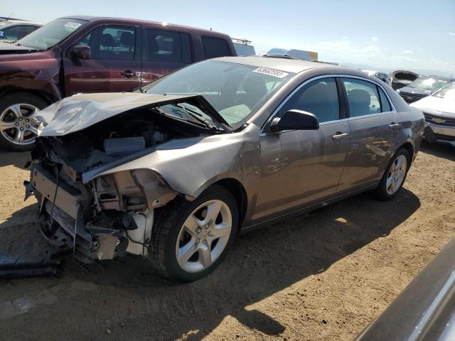 CHEVROLET MALIBU LS 2011 with VIN 1G1ZA5EU6BF322387 - Photo from auction