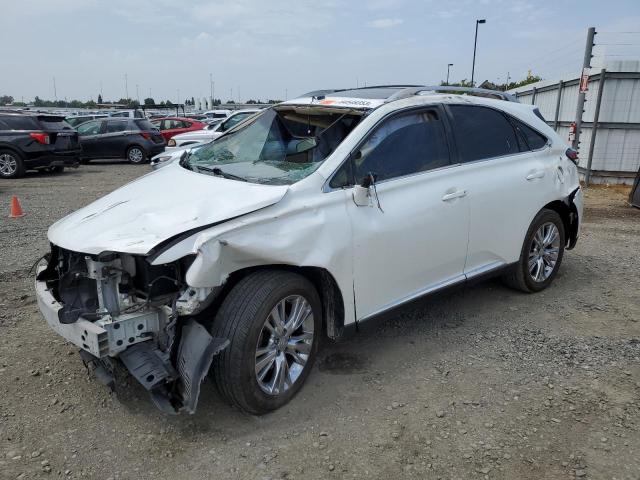 LEXUS RX 350 BAS 2013 with VIN JTJBK1BA3D2456662 - Photo from auction
