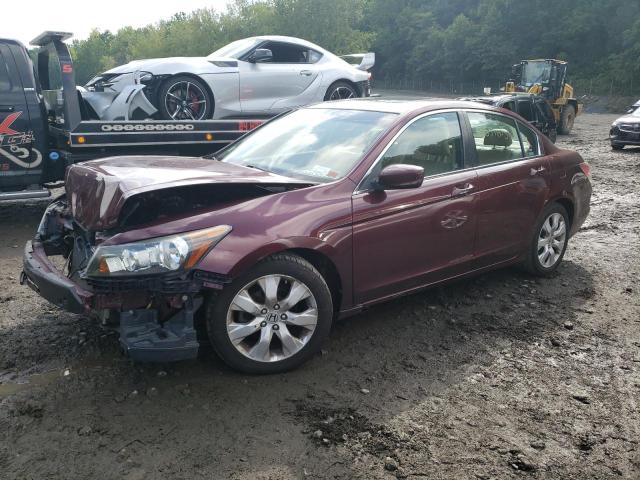 HONDA ACCORD EXL 2010 with VIN 1HGCP2F81AA154408 - Photo from auction