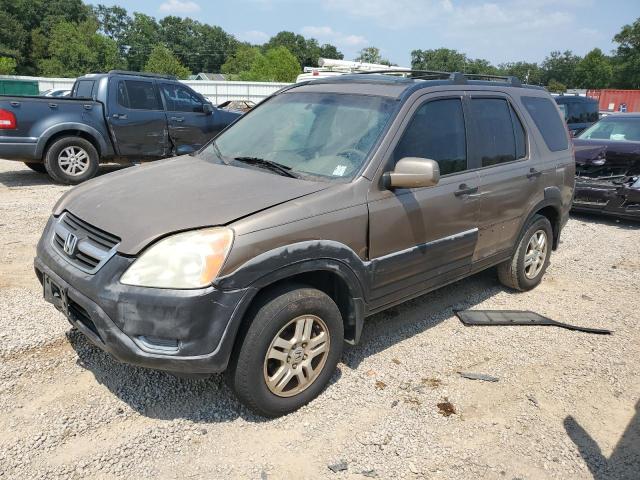 HONDA CR-V EX 2002 with VIN JHLRD78822C046013 - Photo from auction