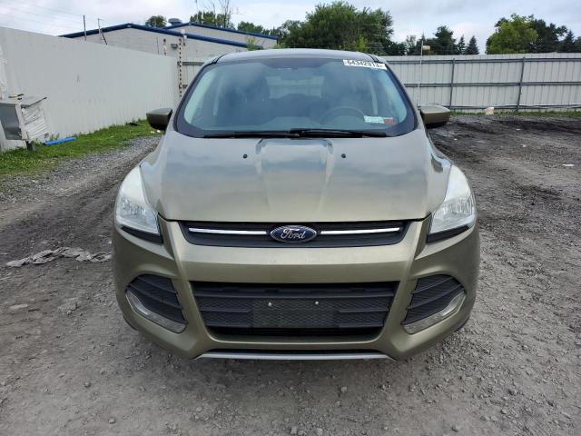 Photo 5 from auction – 2013 FORD ESCAPE SE with VIN 1FMCU9GXXDUA28696