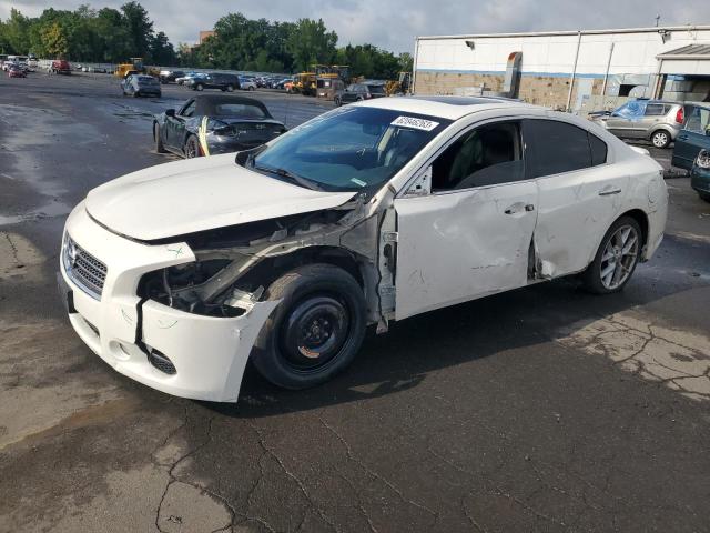 NISSAN MAXIMA S 2009 with VIN 1N4AA51E49C809446 - Photo from auction