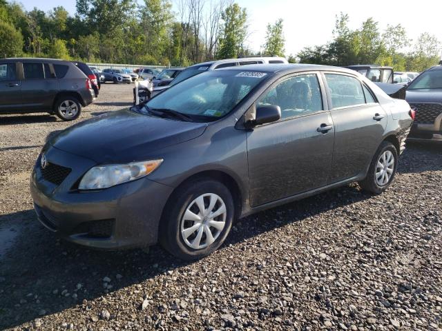 TOYOTA COROLLA BA 2010 with VIN 2T1BU4EE1AC262013 - Photo from auction
