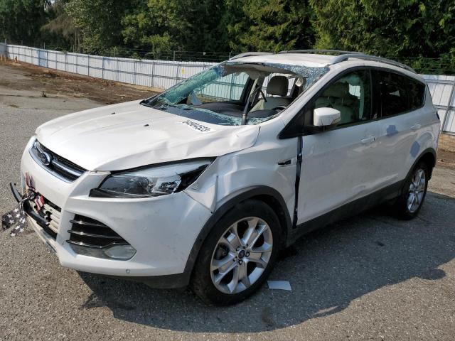 FORD ESCAPE TIT 2014 with VIN 1FMCU9J99EUB78875 - Photo from auction
