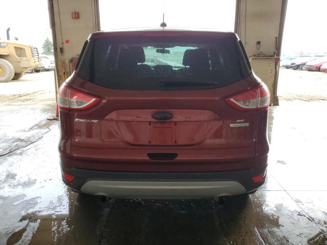 Photo 6 from auction – 2014 FORD ESCAPE SE with VIN 1FMCU0GX1EUC74811